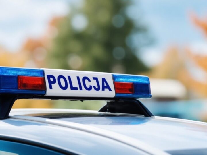 Policja na granicy: Kluczowe wsparcie w walce z nielegalną migracją