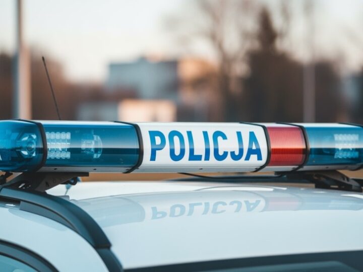 Policja i Straż Leśna walczą z nielegalnym pozyskiwaniem ozdób na groby w trosce o naturę