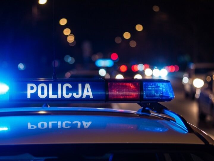 Bezpieczna granica: Policja i Straż Graniczna w akcji dla ochrony kraju
