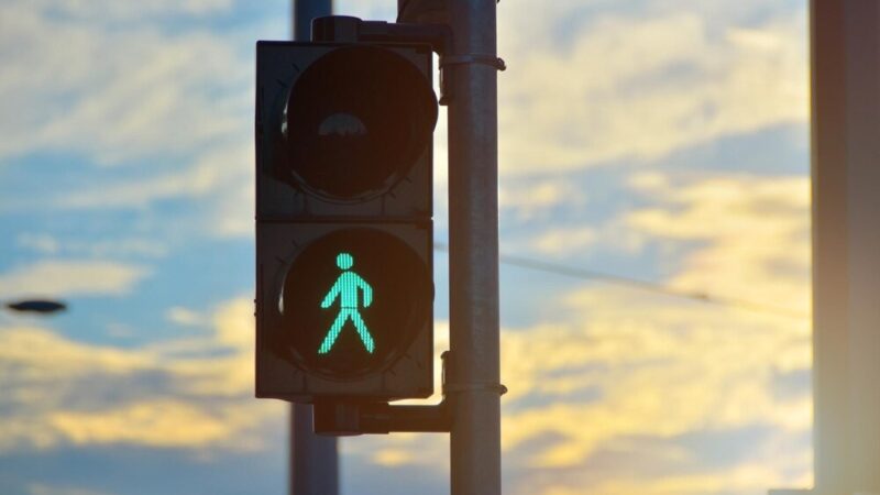 Utracone Talenty: Pamiętamy o Ofiarach Wypadków Drogowych