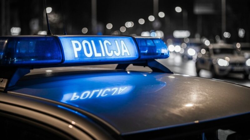 Kupuj choinki z legalnych źródeł – uniknij problemów w „Choinka 2025”