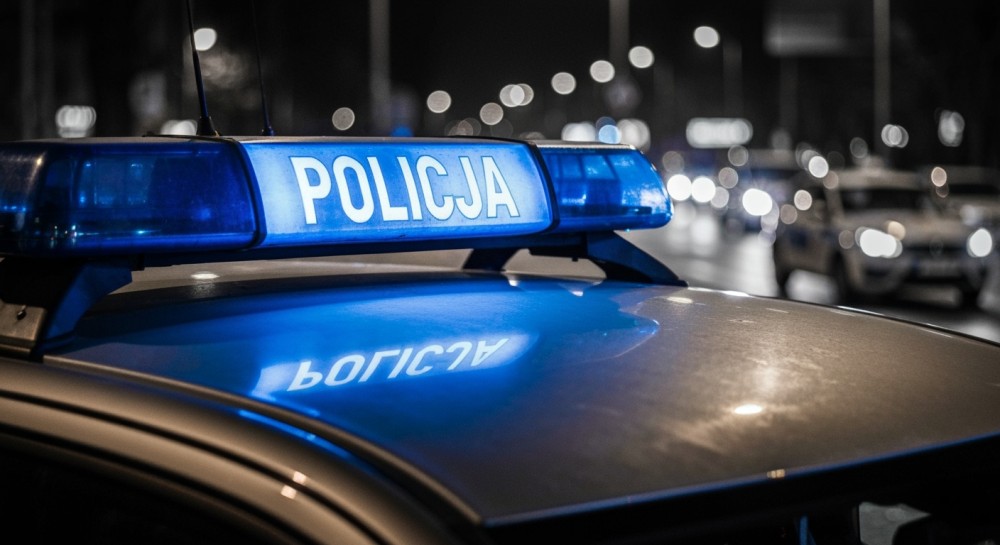 Kupuj choinki z legalnych źródeł – uniknij problemów w „Choinka 2025”