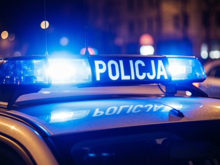 Przedszkolaki odkrywają tajniki pracy policji w Policach