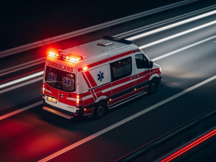 Psy ratownicze w akcji: międzynarodowe ćwiczenia na pograniczu