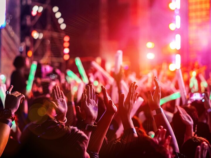 Karnawał z żyrafą Gafą w Tanecznej Dżungli!