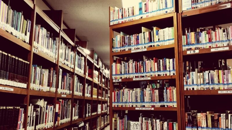 Otwórz drzwi do książkowych przygód podczas Tygodnia Bibliotek w Kołbaskowie