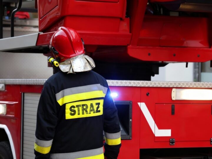 Spotkanie pełne radości z przedszkolakami w OSP Dobra