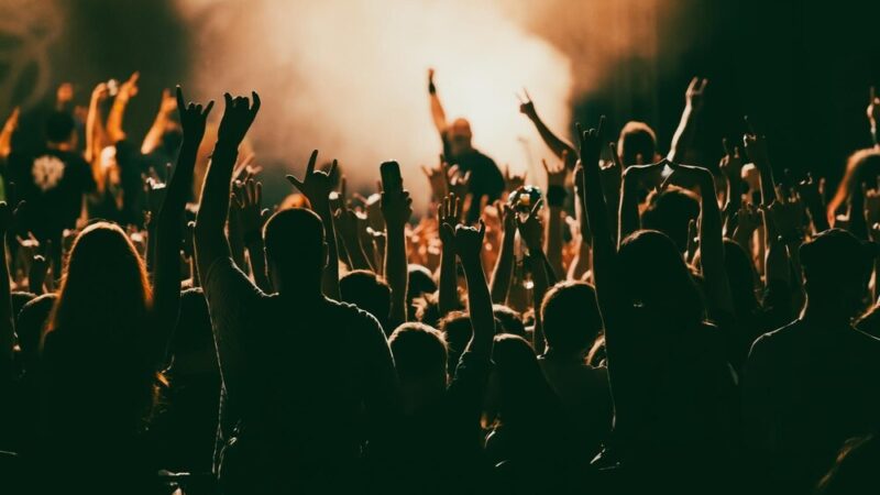 Muzyczne doznania w Ostoi: koncerty i sztuka w wyjątkowej scenerii