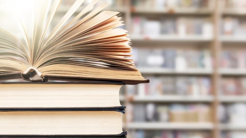 Literackie wakacje: odkryj niezwykłe podróże w Filii Novej