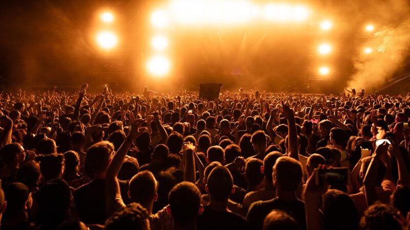 Festiwal sportów chwytanych w Policach: święto aktywności na przystani!