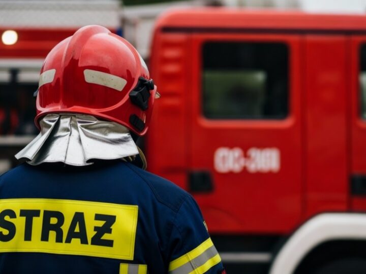 Zagrażające drzewo usunięte przez strażaków w Grzepnicy